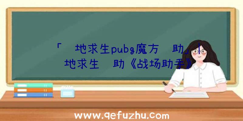 「绝地求生pubg魔方辅助」|绝地求生辅助《战场助手》